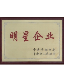 平湖市南桥箱包有限公司