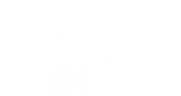 平湖市南桥箱包有限公司